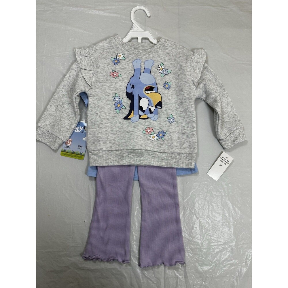 Bluey Fleece Pullover Toddler Set Size 2 T (A1)